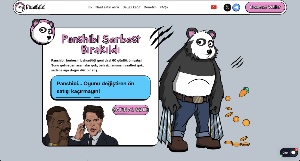 Panshibi nasıl alınır