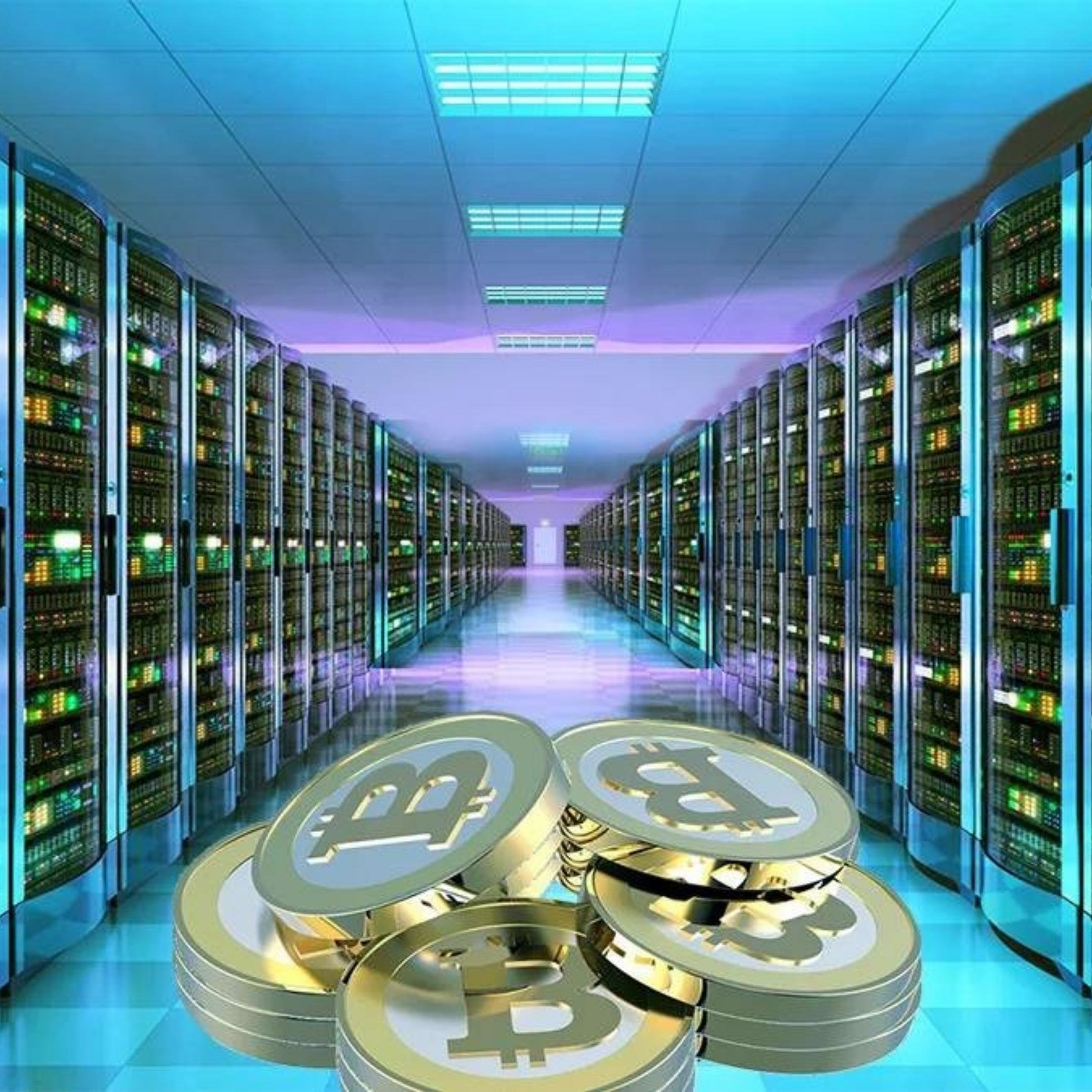 Bitcoin Madencileri Alarmda: Hash Fiyatı 48 Dolara Geriledi, Şimdi Ne Olacak?