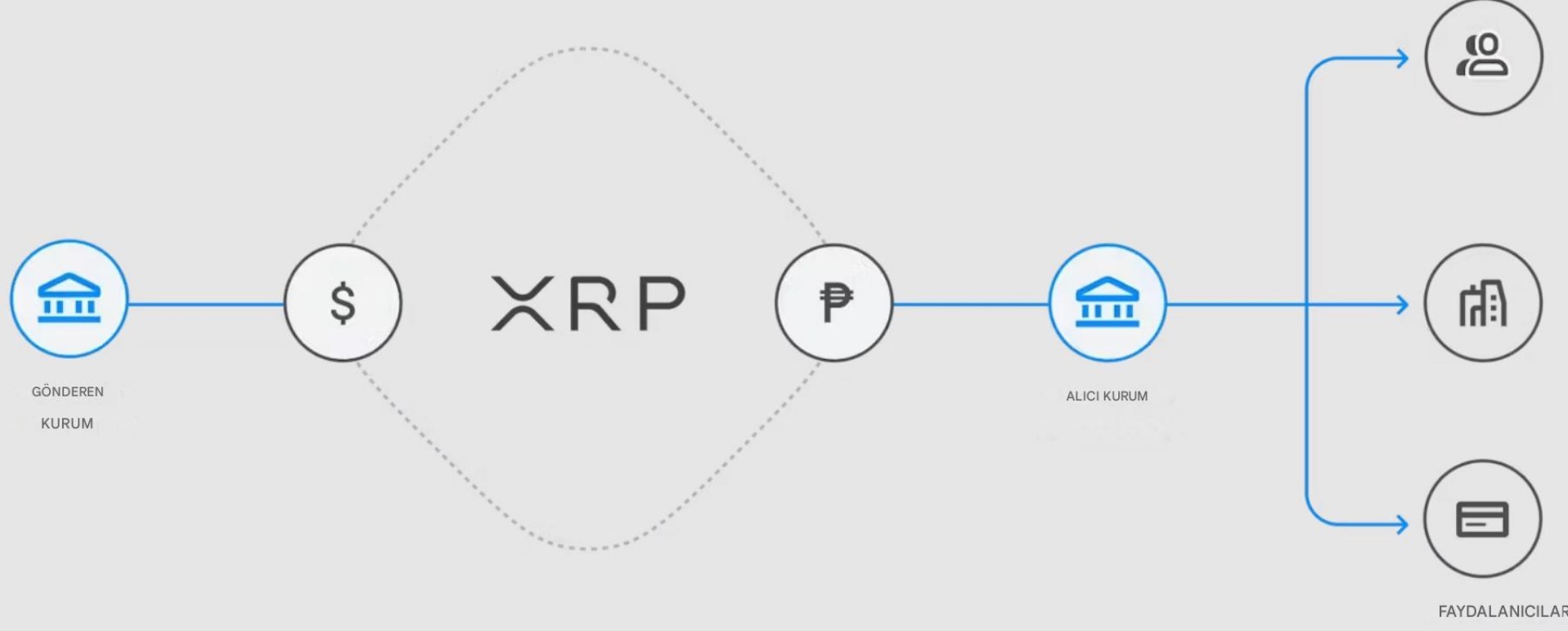 XRP Nasıl Çalışır
