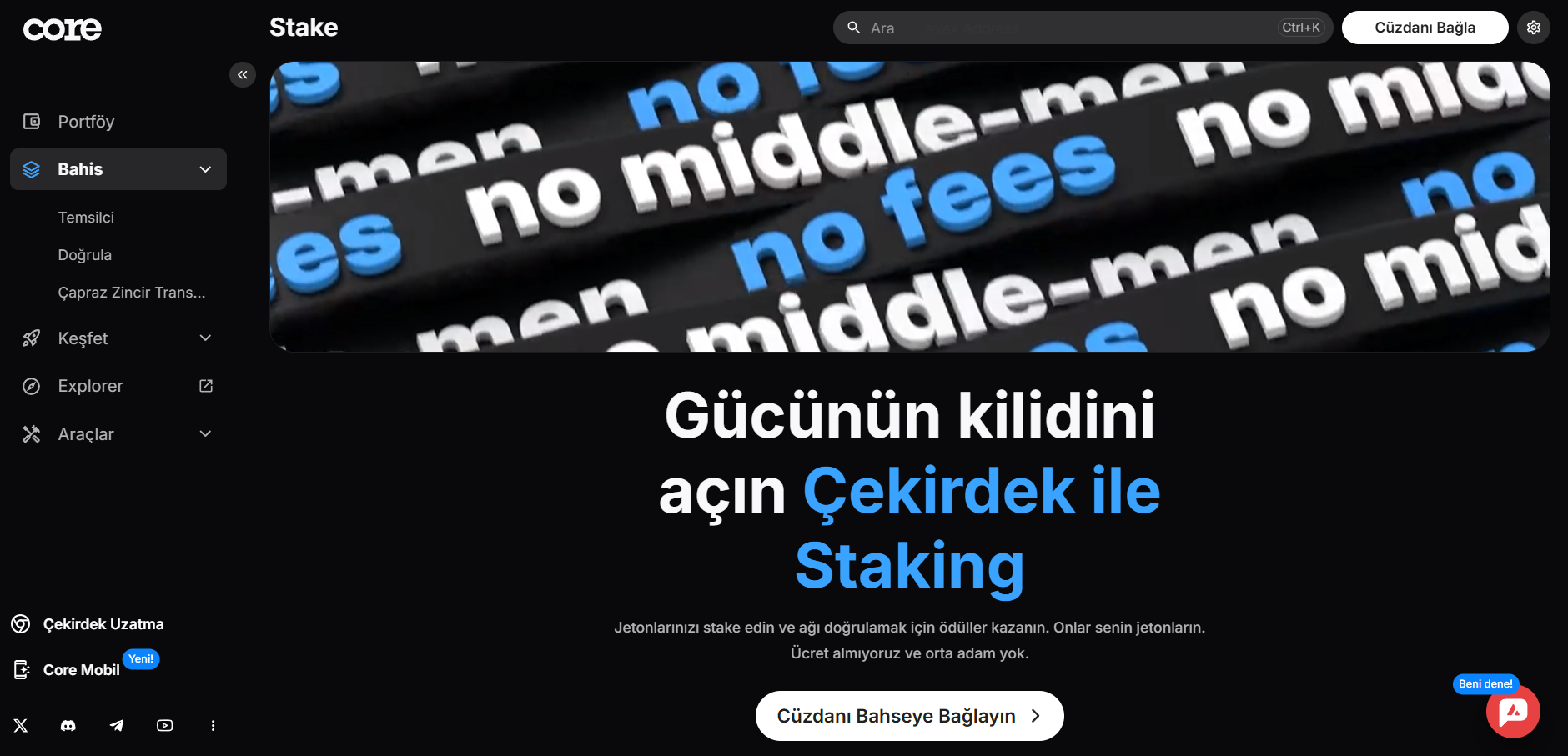 Core Stake