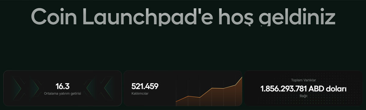 Ape Terminal İncelemesi - Coin Launchpad