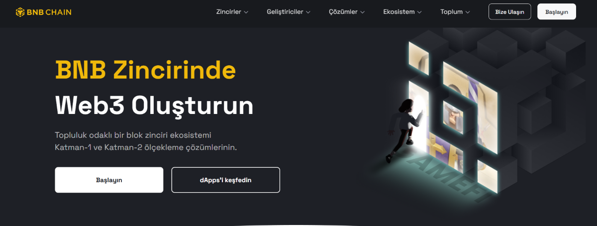 bnb coin - hangi coin alınır