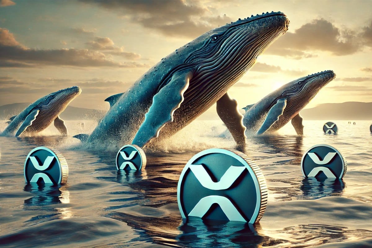 XRP Balinası 29 Milyonluk Transfer Yaptı: Fiyat Hareketi Kapıda mı?