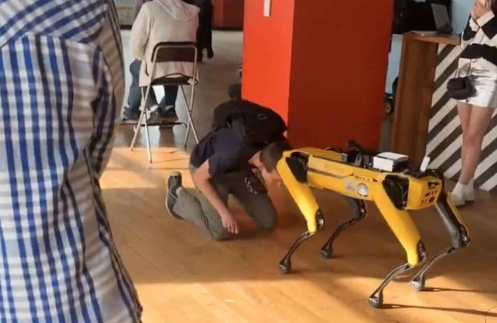 Vitalik Buterin Ne Zaman Ciddileşecek: Vitalik’in Robot Miyavı ETH Fiyatı İçin Ne Anlama Geliyor?