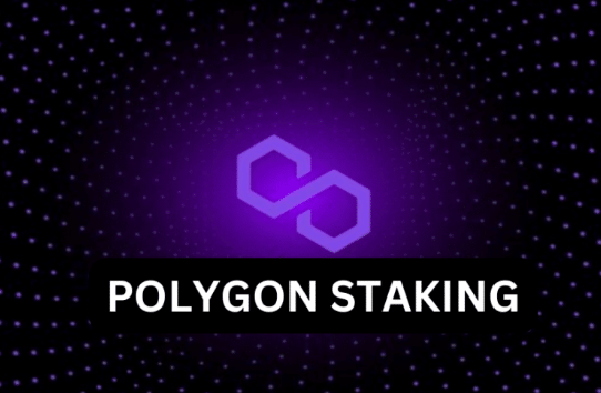 Polygon nasıl stake edilir 