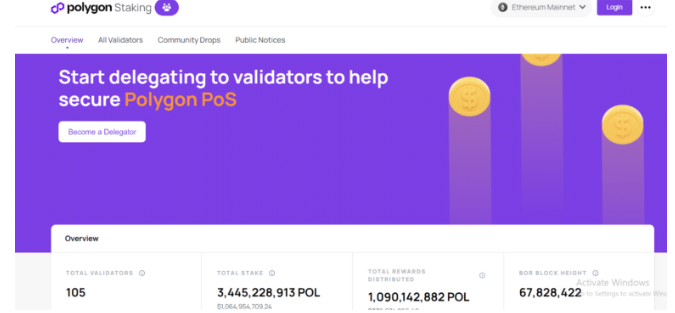 Polygon nasıl stake edilir