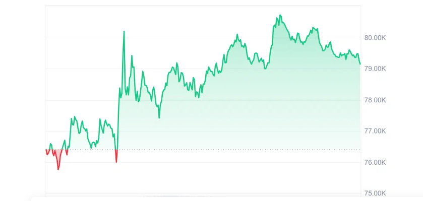 Bitcoin Fiyat Dalgalanması