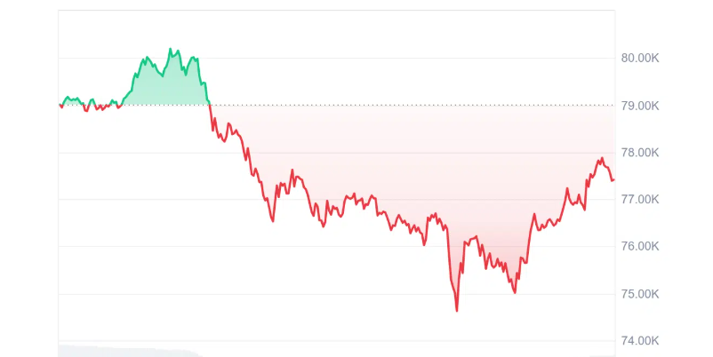 Bitcoin Fiyat Dalgalanmaları