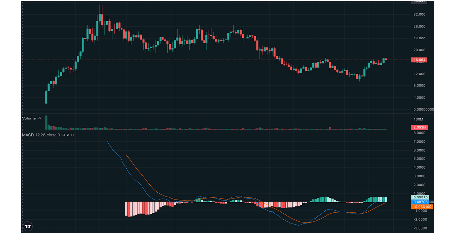 HYPE 20 dolar direncini kırarsa tüm zamanların en yüksek seviyesine ulaşacak.