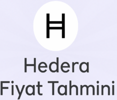 Hedera yorum: HBAR’ın 2025-2030 fiyat tahminleri, düşük ücretler ve DeFi büyümesiyle şekilleniyor. Gelecek beklentilerini keşfedin!