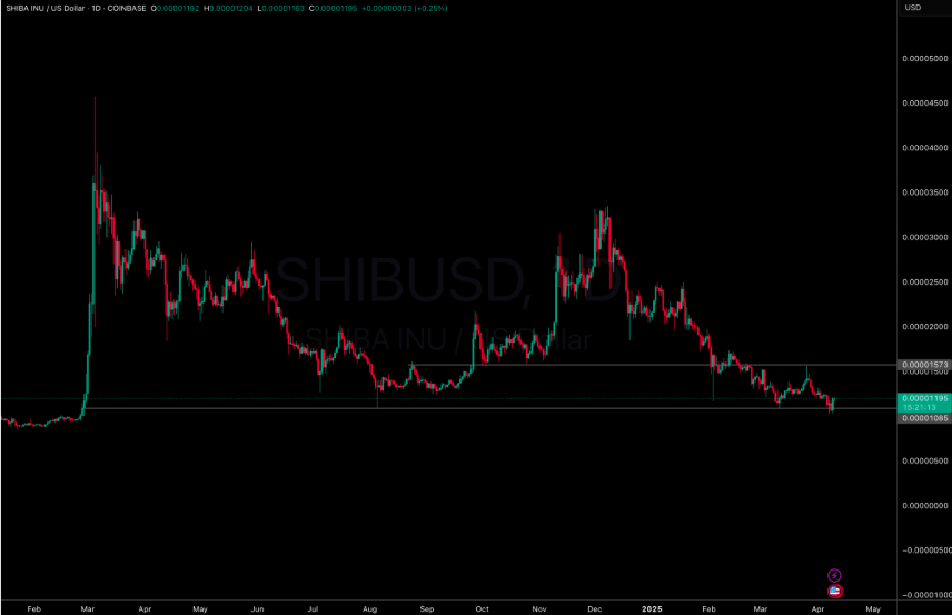 Shiba grafik