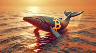 Bitcoin Whaleları Satın Almaya Devam Ediyor: Ayı Sezonuna Rağmen Güçlü Sinyaller