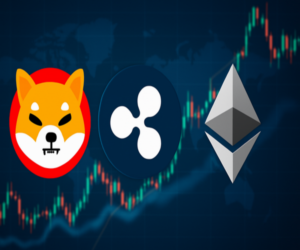 Kripto Piyasasında Hareketlilik