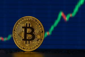 Bitcoin Fiyatı Yükselişte