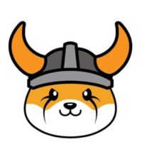 Floki Coin Geleceği ve Detaylı Analizi
