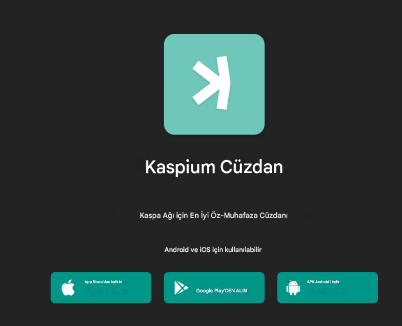 en iyi kaspa cüzdanları - kaspium wallet