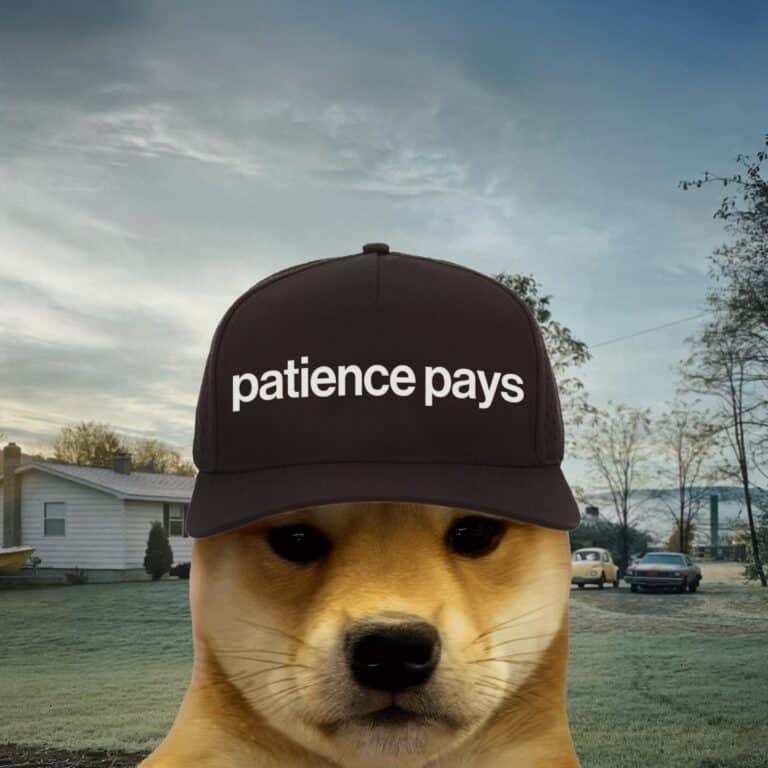 DogWIFhat fiyat tahmini