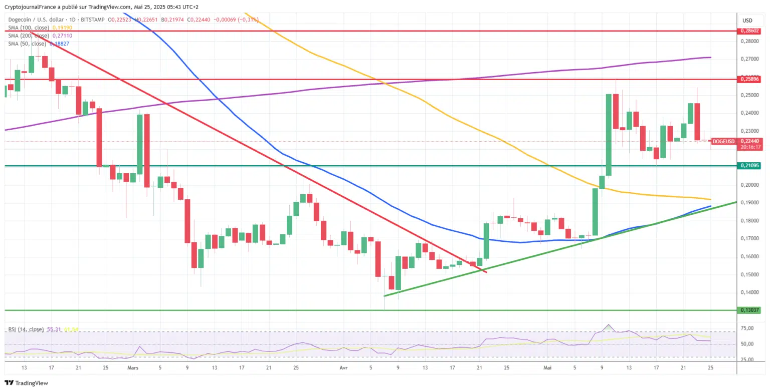 Bitcoin ve Doge Zayıfladı: Yeni Coin’e Geçme Zamanı mı?