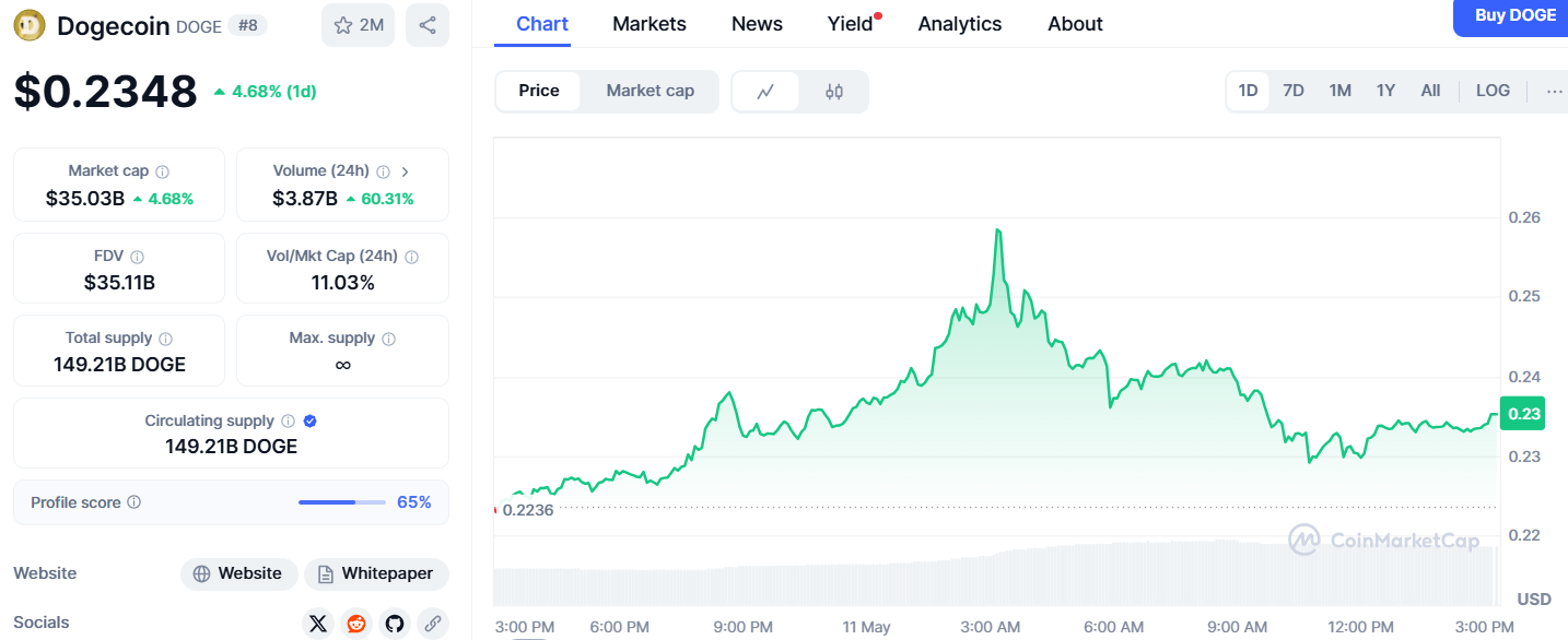 Doge coin zirve