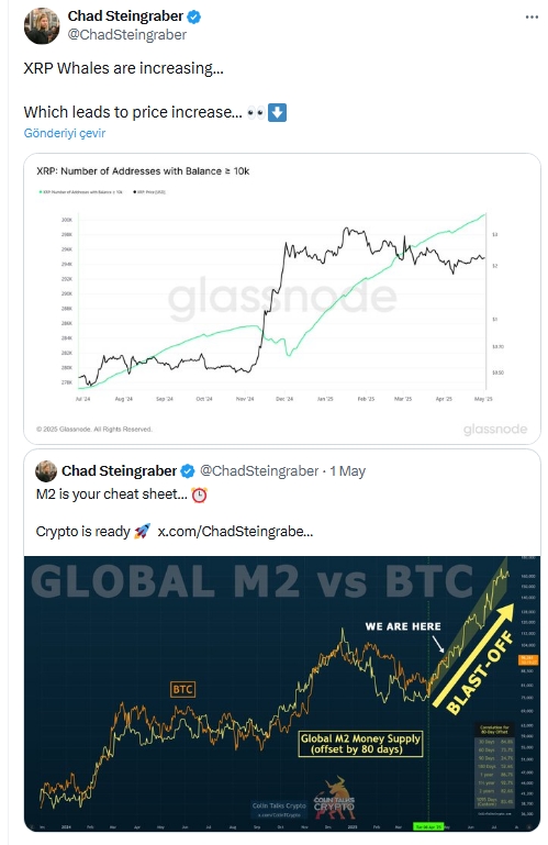 Analist Alarm Verdi: XRP’yi Elinizde Tutmayın, İşte Nedeni!