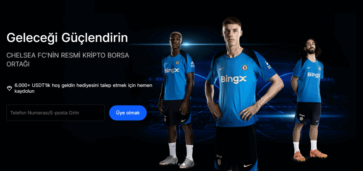 bingx kripto platformu