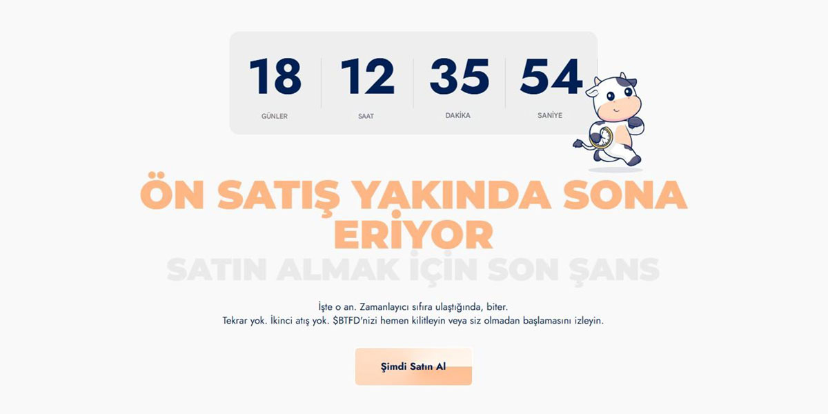 BTFD Coin nereden alınır - BTFD Coin yorum