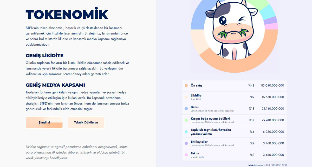 BTFD Coin Yorum ve Tokenomik