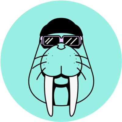 Walrus Coin Nereden Alınır? 2026 Detaylı Rehber