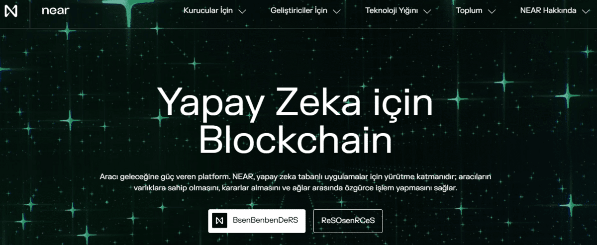Near protocol nedir ve blok zinciri nasıl çalışır