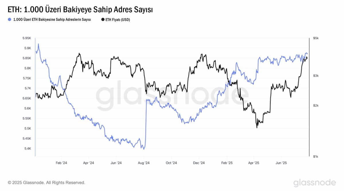 1000 ETH ve üzeri bakiyeye sahip olan cüzdan sayısı