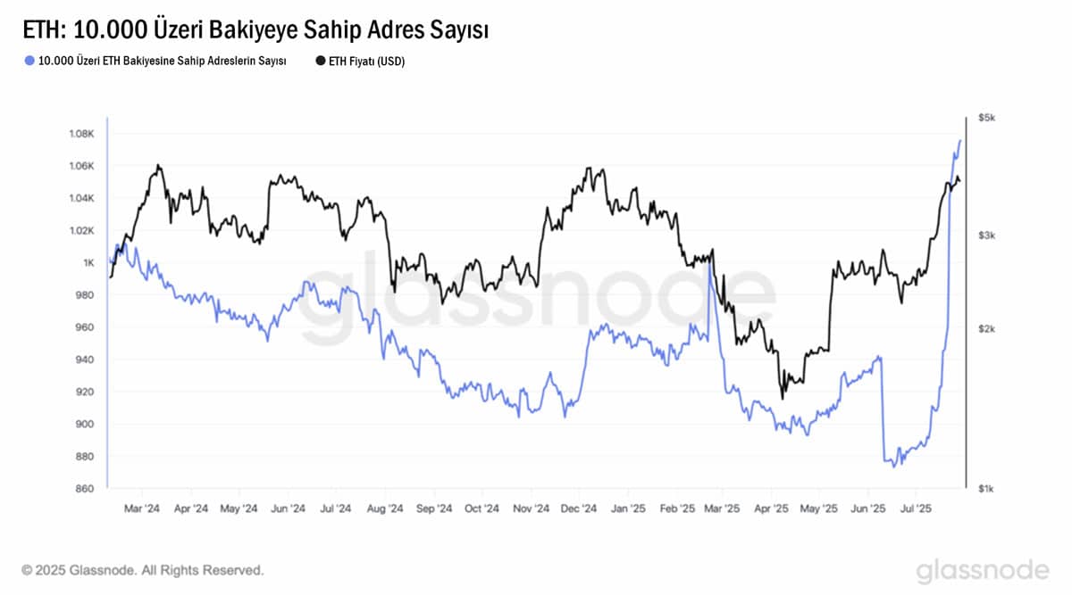 10 Bin ETH ve üzeri bakiyeye sahip Ethereum cüzdan sayısı