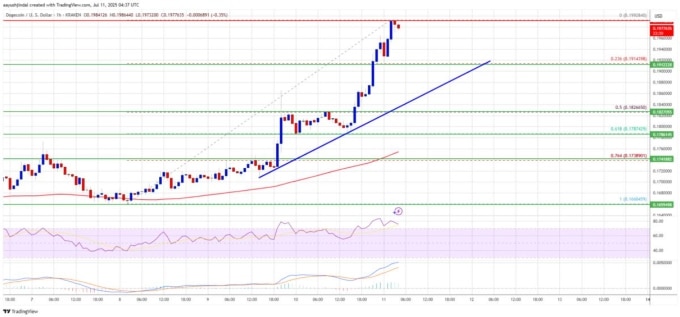Teknik Görünüm Güçlü: 0,2050 ve 0,22 Dolar Hedeflenebilir