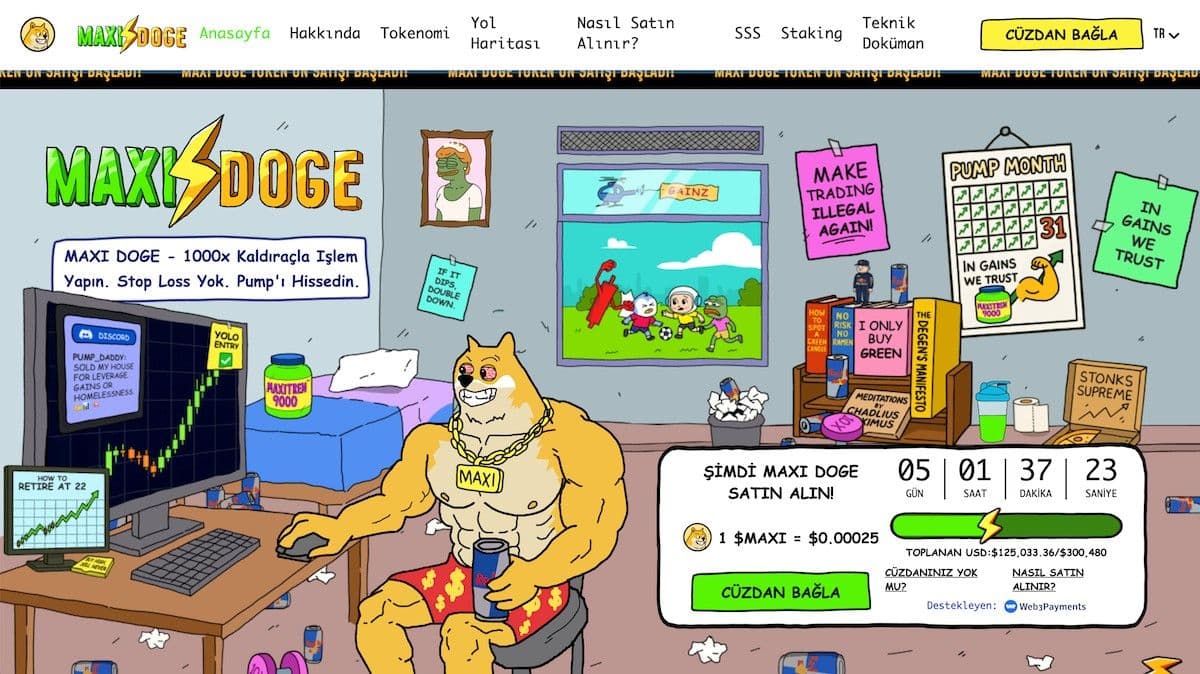Mega boğaya hazır meme coinler - Maxi Doge