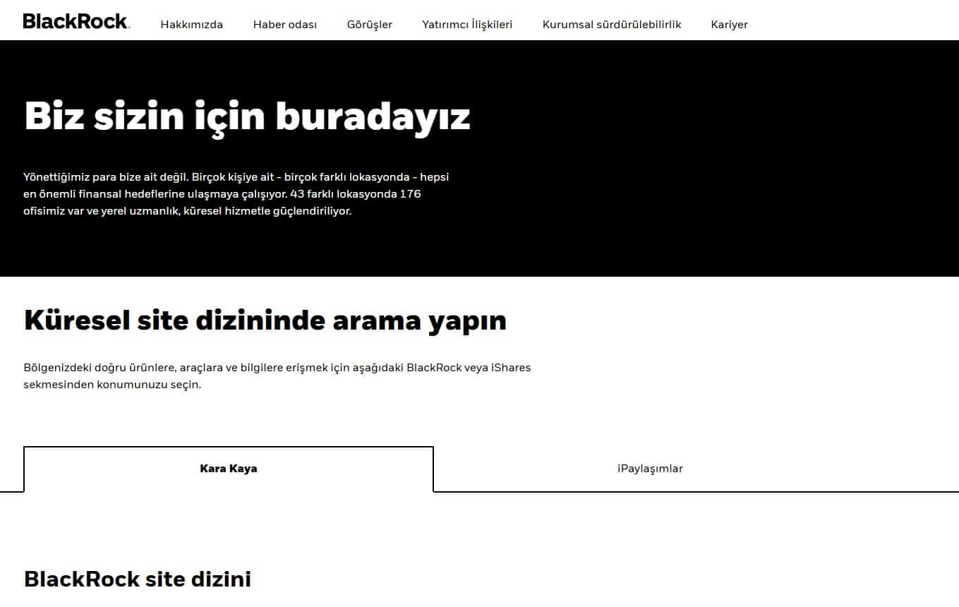 Blackrock Analizi