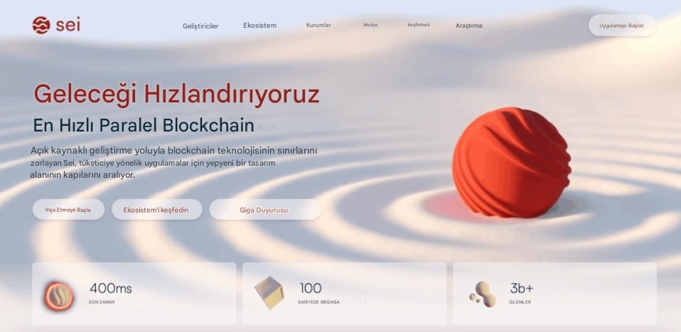 SEI'nin Resmi Web Sitesi