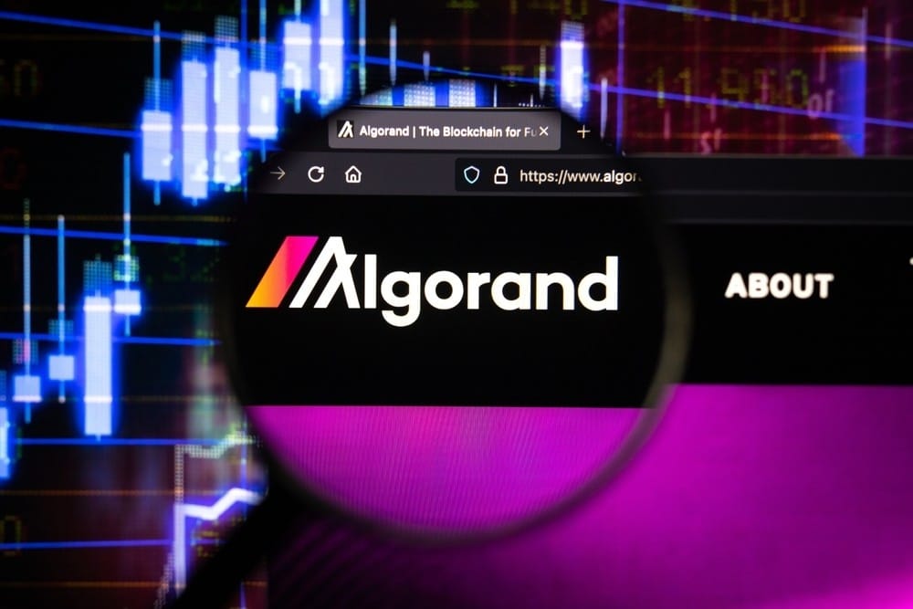 ISO 20022 standartlarına uygun kripto paralar - Algorand