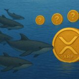 Balinalar XRP’ye Yöneliyor – Takip Edilmesi Gereken 4 Benzer Token