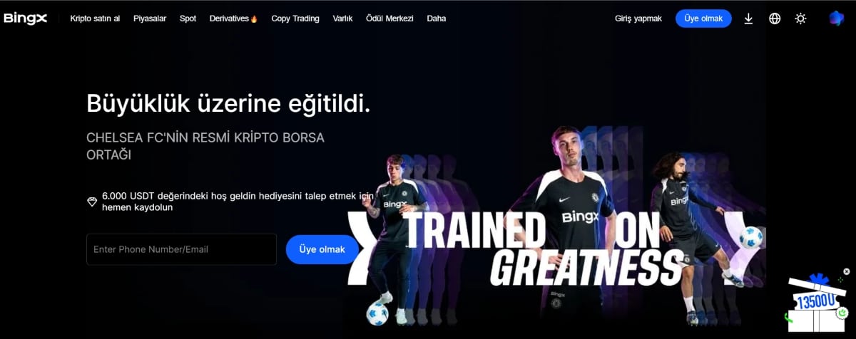 bingx kripto sitesi