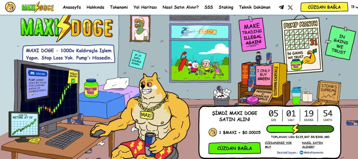 maxi doge ön satış coin projesi