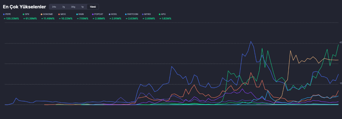 cmc meem coin en çok kazananlar