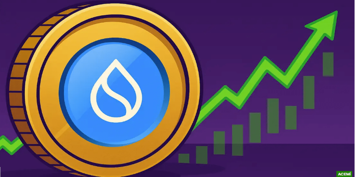 2025’in En Popüler Kripto Parası: SUI Coin, Yükselişiyle Dikkat Çekiyor