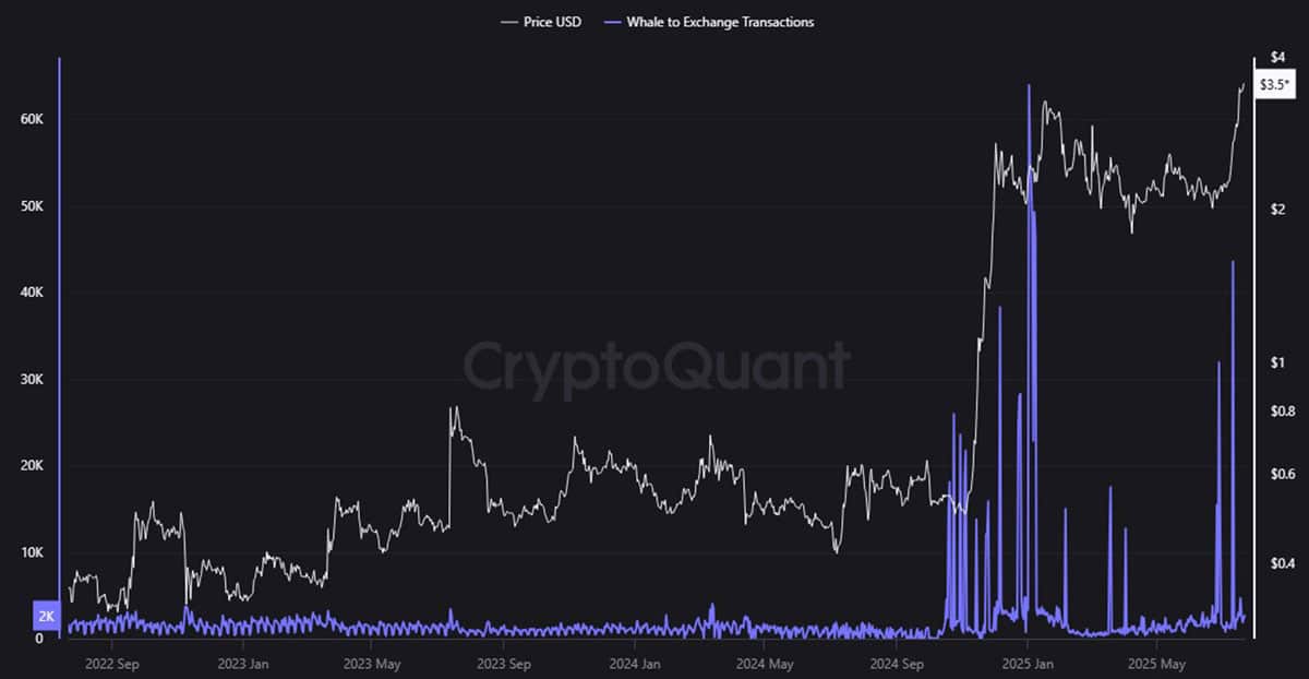 XRP - Balinalardan Borsalara Varlık Geçiş Grafiği - Cryptoquant