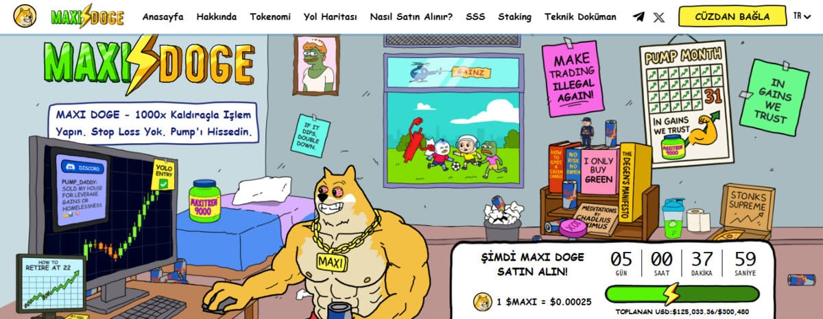 en iyi altcoinler - Maxi Doge