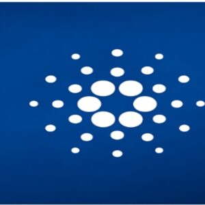 Cardano Balinaları, 71 Milyon Dolarlık Hazine Onayına Rağmen 390 Milyon ADA Sattı