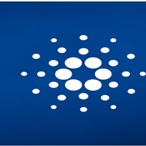 Cardano Balinaları, 71 Milyon Dolarlık Hazine Onayına Rağmen 390 Milyon ADA Sattı