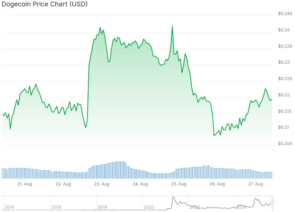 dogecoin işlem grafiği