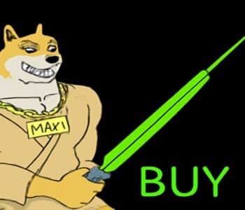 Kaldıraçta Sınır Tanımayan Maxi Doge Token, Yatırımcıların Radarında