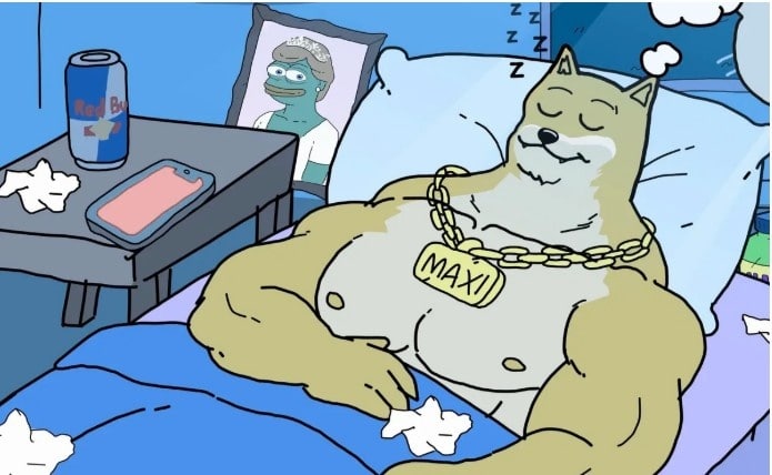 Neden Maxi Doge (MAXI) Bir Sonraki Büyük Fırsat Olabilir?