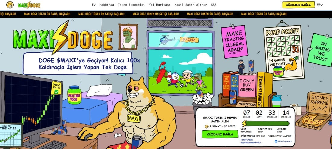 Maxi Doge Fiyat Geçmişi