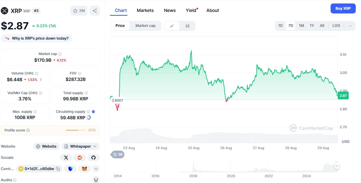 XRP Zenginler Listesi Ağustos 2025: İlk Yüzde 10’da mısınız?